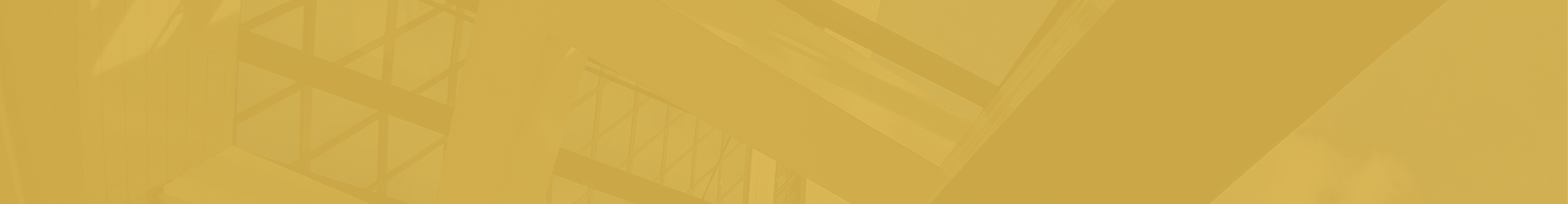 section banner - desktop